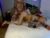 ♀️♂️ bnczuperzexy Free Cam @ Chaturbate