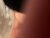 ♂️ bonker9292 Free Cam @ Chaturbate
