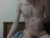 ♂️ boujii021 Free Cam @ Chaturbate