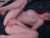 ♀️♂️ brakein18 Free Cam @ Chaturbate