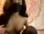 ♀️ brattypyro Free Cam @ Chaturbate
