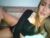 ♀️ Brianna J Free Cam @ Camsoda
