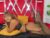 ♀️ brittanybunnyasm Free Cam @ Chaturbate