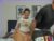 ♀️♂️ brownandangel Free Cam @ Chaturbate