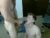 ♂️ bunkmatexxx Free Cam @ Chaturbate