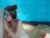 ♀️♂️ bunny_petit Free Cam @ Chaturbate