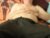 ♂️ camshowmanxxx69 Free Cam @ Chaturbate