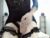 ⚧️ capri_ts Free Cam @ Chaturbate