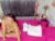 ♀️ carolinee_torres Free Cam @ Chaturbate