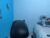 ♀️ cata_09 Free Cam @ Chaturbate