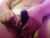 ♀️ cata__gutierrez_ Free Cam @ Chaturbate