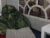 โ๏ธโ๏ธ celine_charme Free Cam @ Chaturbate