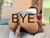 ♀️ charloottee_1 Free Cam @ Chaturbate