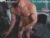♂️ chatruskibate Free Cam @ Chaturbate