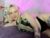 ♀️ cherylmason Free Cam @ Chaturbate