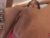 ♀️ chiqui_milk1 Free Cam @ Chaturbate