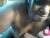 ♀️ chocobabe002 Free Cam @ Chaturbate
