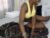 ♀️ chocolate_diva Free Cam @ Chaturbate