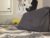 ♂️ clydeaustin Free Cam @ Chaturbate