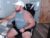 ♂️ countrystrong53 Free Cam @ Chaturbate
