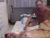♀️♂️ couplepleasurebr Free Cam @ Chaturbate