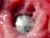 ♀️ courtney_luv Free Cam @ Chaturbate