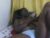 ♀️ creampygal Free Cam @ Chaturbate