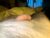 ♂️ cutcockguy1975 Free Cam @ Chaturbate