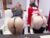 ♀️♂️ cute00kiara Free Cam @ Chaturbate