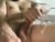 ♂️ dadslonguncut Free Cam @ Chaturbate