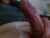 ♂️ damocles01 Free Cam @ Chaturbate