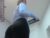♀️ daniela_evans Free Cam @ Chaturbate