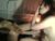 ⚧️ darlingcolette Free Cam @ Chaturbate