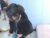 ♀️ debora_hille Free Cam @ Chaturbate