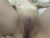 ♀️ demisophia Free Cam @ Chaturbate