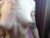 ♀️ des_ch Free Cam @ Chaturbate
