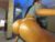♀️ dianac1998 Free Cam @ Chaturbate