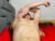 ♂️ dick_demon_1 Free Cam @ Chaturbate