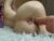♀️ _domenika_ Free Cam @ Chaturbate