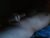 ♂️ dtun Free Cam @ Chaturbate