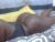 ♀️ ebonita23 Free Cam @ Chaturbate