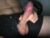 ♂️ edging_13cock Free Cam @ Chaturbate