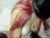 ♀️ emilyy_sexy01 Free Cam @ Chaturbate
