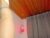 ♀️ emma__bell Free Cam @ Chaturbate
