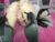 ♀️♂️ ericapreston Free Cam @ Chaturbate