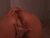 ♀️ eva_ro Free Cam @ Chaturbate