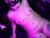 ♀️ evacruxx Free Cam @ Chaturbate