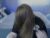 ♀️ fiery__lady_ Free Cam @ Chaturbate