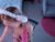 ♀️ _fieryflash_ Free Cam @ Chaturbate