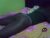 ♀️ fine_nes Free Cam @ Chaturbate